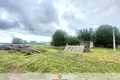 Zakład produkcyjny 300 m² Stare Sioło, Białoruś