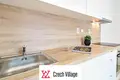 Wohnung 2 zimmer 21 m² Bezirk Brünn-Stadt, Tschechien