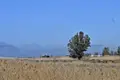 Atterrir 375 m² Nauplie, Grèce