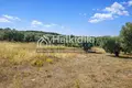 Grundstück 6 250 m² Kalandra, Griechenland