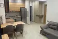 1 Bedroom Apartment for Rent in Tbilisi