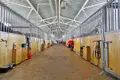 Room 2 968 m² Ratamka, Belarus