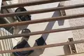 3 bedroom villa 172 m² Pervolia, Cyprus