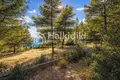 Parcelas 15 000 m² Nikiti, Grecia
