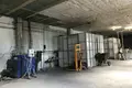 Commercial property 1 room 850 m² in Pudost, Russia