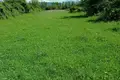 Land  Misaktsieli, Georgia