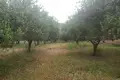 Дом  Кисамос, Греция