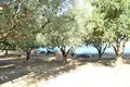 Land 1 room 4 500 m² Zakynthos Municipality, Greece