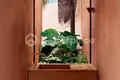 2 bedroom Villa  Ungasan, Indonesia