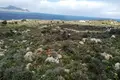 Land  Kokkino Chorio, Greece