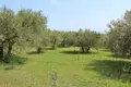 Atterrir 1 chambre  Leptokarya, Grèce