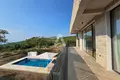 Villa de 4 dormitorios  en Montenegro, Montenegro