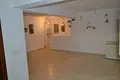 Investment  in Limenaria, Greece