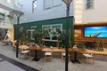 Pomieszczenie biurowe 900 m² Moskwa, Rosja