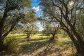 Parcelas 4 054 m² Agios Mamas, Grecia