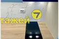 1 room apartment 20 m² Fanipal, Belarus