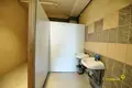 Производство 12 000 м² Новолукомль, Беларусь