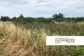 Działki  Opcina Dezanovac, Chorwacja