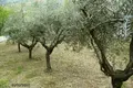 Gewerbefläche 200 m² Terni, Italien