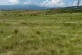 Parcelas  Tiflis, Georgia