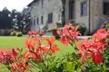 Willa 54 pokoi 1 550 m² Unione Montana dei Comuni del Mugello, Włochy