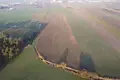 Land 29 540 m² Borek Wielkopolski, Poland