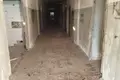 Zakład produkcyjny 300 m² Stare Sioło, Białoruś
