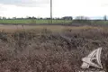 Land  Carnaucycki sielski Saviet, Belarus
