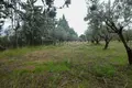 Land 935 m² Kalyves Polygyrou, Greece