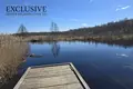 1 bedroom house 56 m² Domzarycy, Belarus