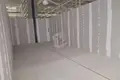 Gewerbefläche 51 m² in Minsk, Belarus