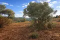 Land 4 483 m² Megali Panagia, Greece