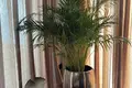 3-Schlafzimmer-Villa 257 m² Budva, Montenegro