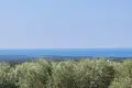 Land  Kastelir, Croatia