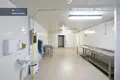 Propriété commerciale 1 000 m² à Kriauciskes, Lituanie