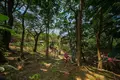 Wohnung  Honduras, Honduras