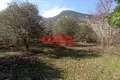 Atterrir 8 000 m² Palaiochori, Grèce