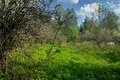 Land  Nikolskoe, Russia