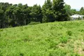 Land 1 room 6 500 m² Kassandreia, Greece