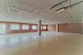 Büro 169 m² Elx Elche, Spanien