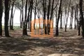Land 30 000 m² Bashkia Durres, Albania