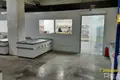 Commercial 6 rooms 1 390 m² in Lahoysk District, Belarus