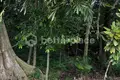 Parcelas  Tumbak Bayuh, Indonesia