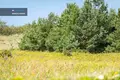 Działki  Rucavas pagasts, Łotwa
