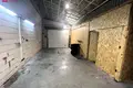 Gewerbefläche 76 m² Alitten, Litauen