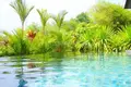 3 bedroom villa  Choeng Thale, Thailand
