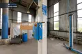 Gewerbefläche 1 135 m² in Hannusburg, Litauen