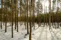 Земельные участки 1 комната 10 458 м² Варшава, Польша