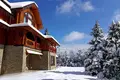 House 300 m² Skhidnytsia, Ukraine