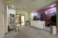 Apartment 29 m² Minsk, Belarus